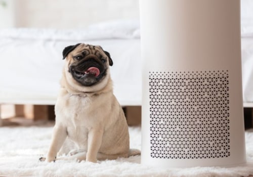 The Ultimate Guide to Air Purifiers and Air Filters