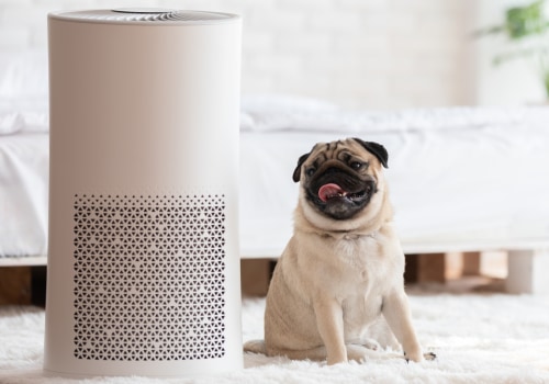 Is an Electrostatic Air Purifier the Best Choice for Your Home?
