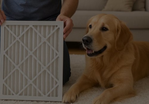 Why Pet Owners Load Filters Faster and What Two-Inch Depth Actually Fixes